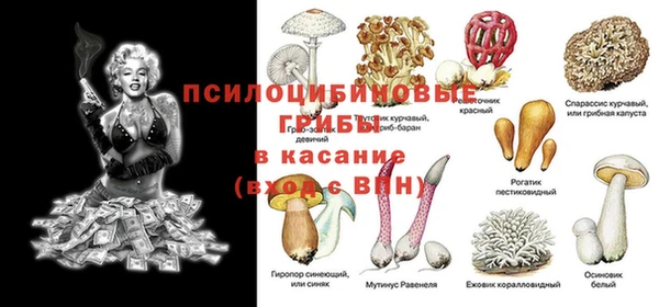 прущий лед Корсаков